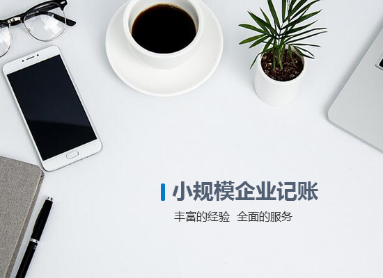 小規(guī)模企業(yè)記賬